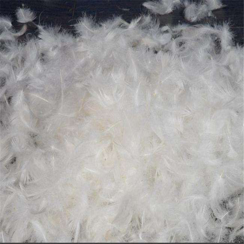 White Duck Feather PRD-DF21005