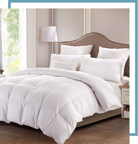 About Hangzhou Paradise